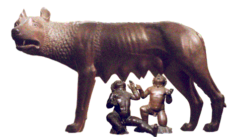 Wolf